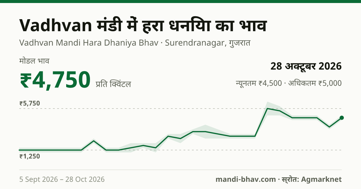 Vadhvan मंडी में हरा धनिया का भाव 28 अक्टूबर 2026: मोडल ₹4,750 प्रति क्विंटल, भाव के रुझान का चार्ट