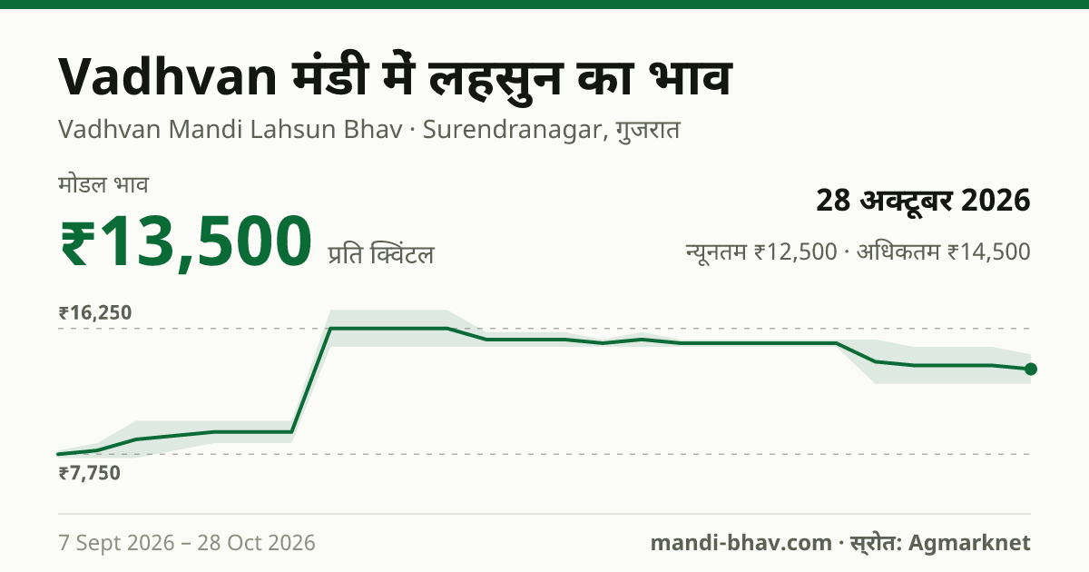 Vadhvan मंडी में लहसुन का भाव 28 अक्टूबर 2026: मोडल ₹13,500 प्रति क्विंटल, भाव के रुझान का चार्ट