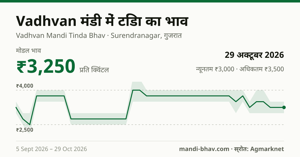 Vadhvan मंडी में टिंडा का भाव 29 अक्टूबर 2026: मोडल ₹3,250 प्रति क्विंटल, भाव के रुझान का चार्ट