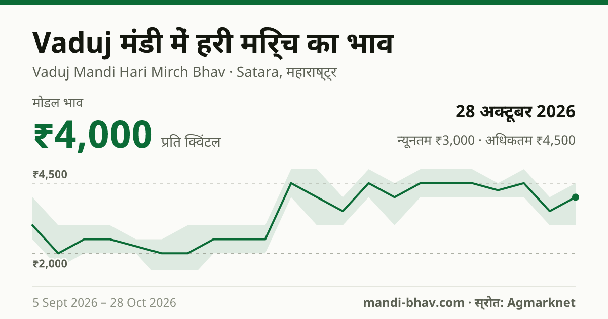 Vaduj मंडी में हरी मिर्च का भाव 28 अक्टूबर 2026: मोडल ₹4,000 प्रति क्विंटल, भाव के रुझान का चार्ट
