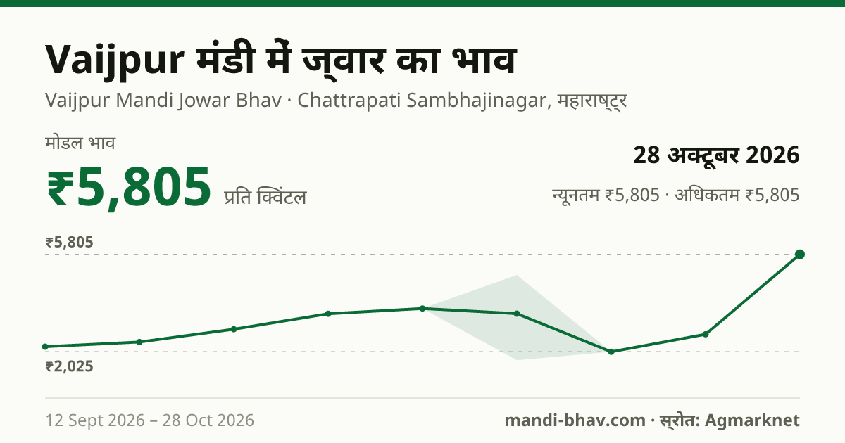 Vaijpur मंडी में ज्वार का भाव 28 अक्टूबर 2026: मोडल ₹5,805 प्रति क्विंटल, भाव के रुझान का चार्ट