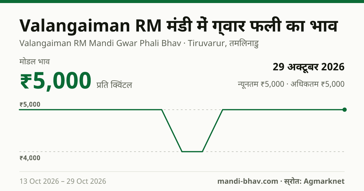 Valangaiman RM मंडी में ग्वार फली का भाव 29 अक्टूबर 2026: मोडल ₹5,000 प्रति क्विंटल, भाव के रुझान का चार्ट