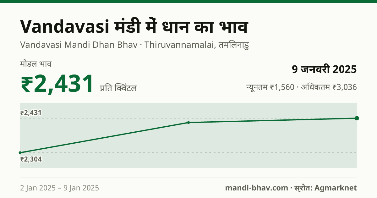 Vandavasi मंडी में धान का भाव 9 जनवरी 2025: मोडल ₹2,431 प्रति क्विंटल, भाव के रुझान का चार्ट