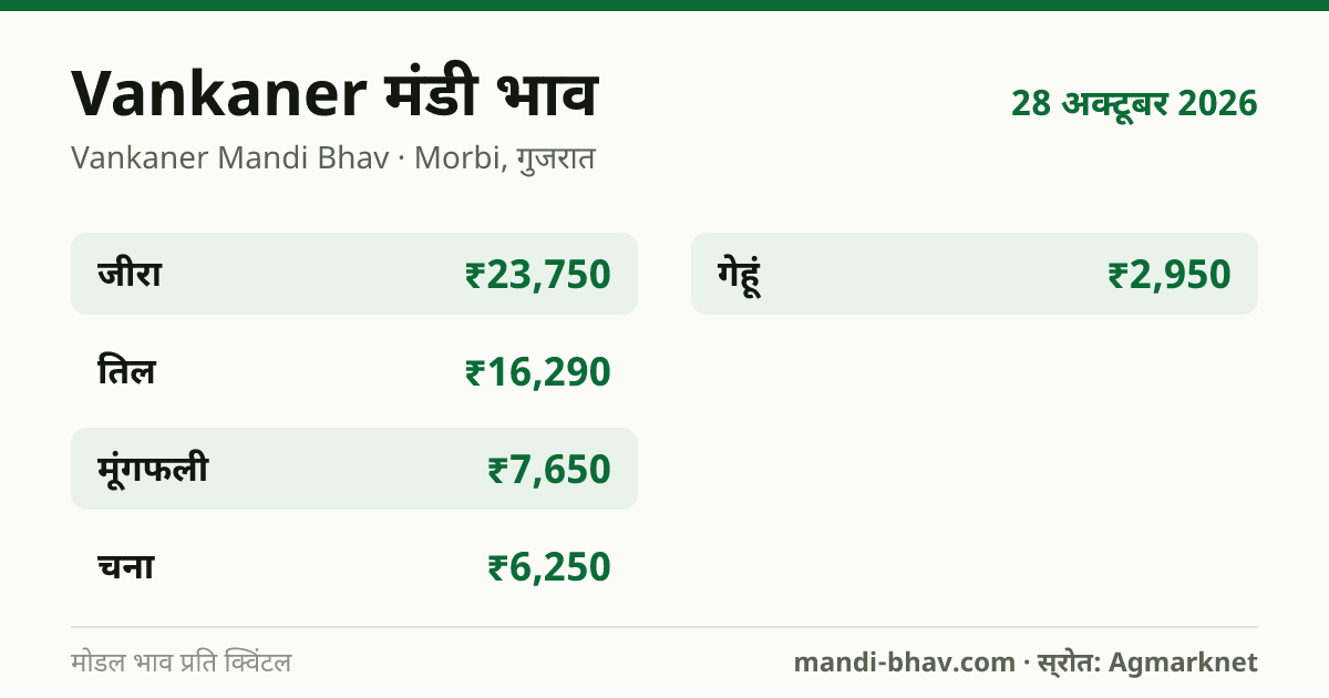 Vankaner मंडी भाव 28 अक्टूबर 2026: फसलवार मोडल रेट प्रति क्विंटल