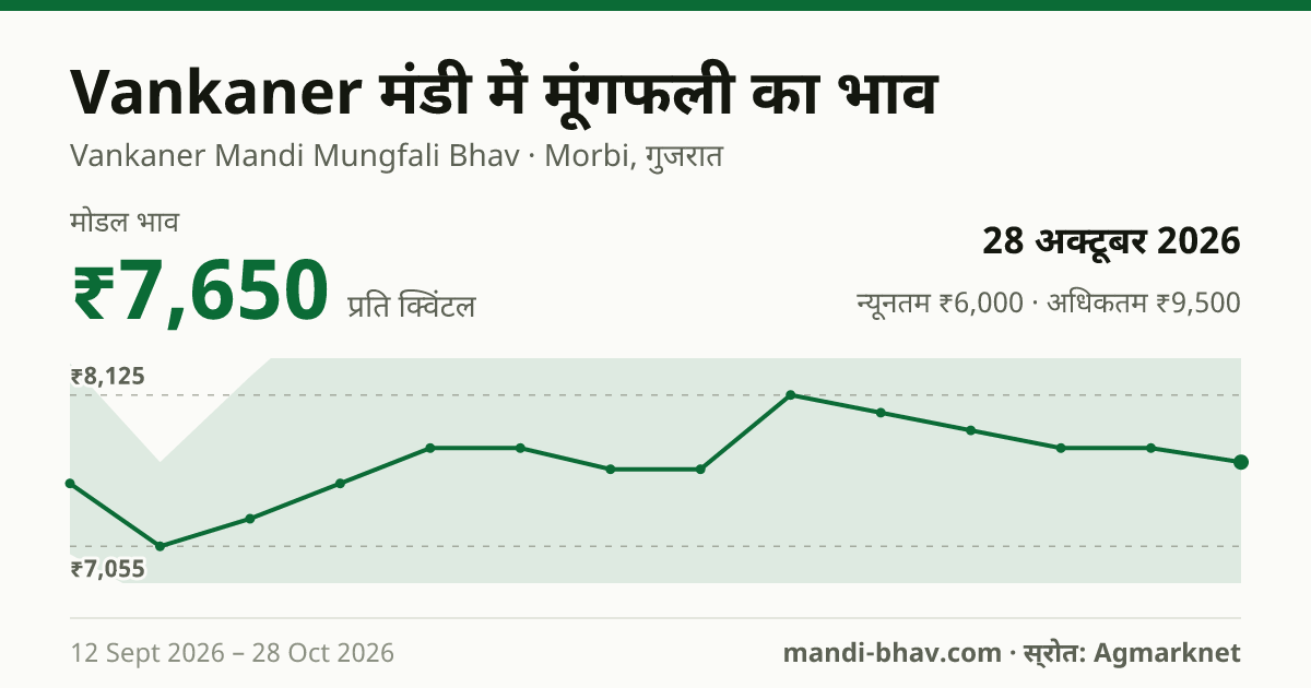 Vankaner मंडी में मूंगफली का भाव 28 अक्टूबर 2026: मोडल ₹7,650 प्रति क्विंटल, भाव के रुझान का चार्ट
