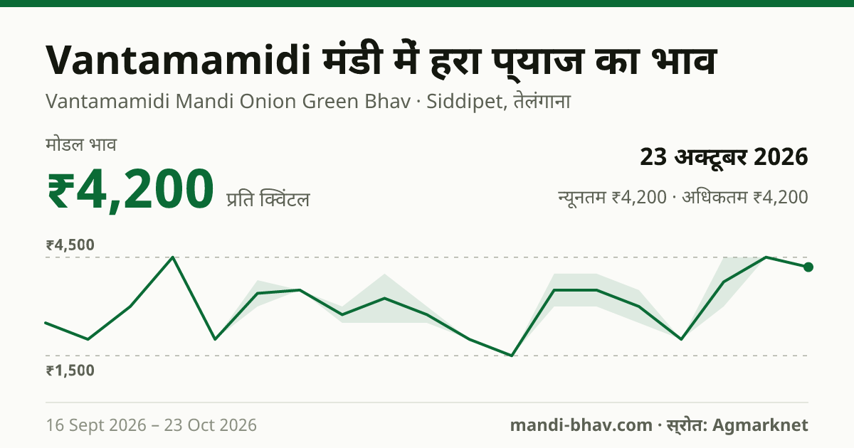 Vantamamidi मंडी में हरा प्याज का भाव 23 अक्टूबर 2026: मोडल ₹4,200 प्रति क्विंटल, भाव के रुझान का चार्ट
