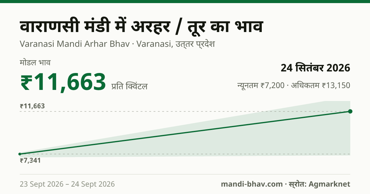 वाराणसी मंडी में अरहर / तूर का भाव 24 सितंबर 2026: मोडल ₹11,663 प्रति क्विंटल, भाव के रुझान का चार्ट