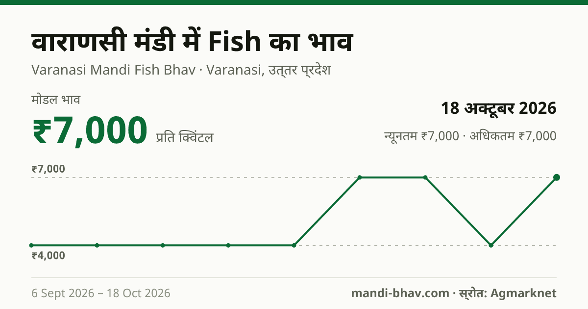 वाराणसी मंडी में Fish का भाव 18 अक्टूबर 2026: मोडल ₹7,000 प्रति क्विंटल, भाव के रुझान का चार्ट