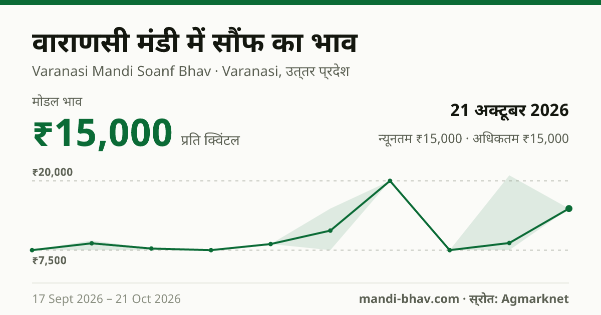 वाराणसी मंडी में सौंफ का भाव 21 अक्टूबर 2026: मोडल ₹15,000 प्रति क्विंटल, भाव के रुझान का चार्ट