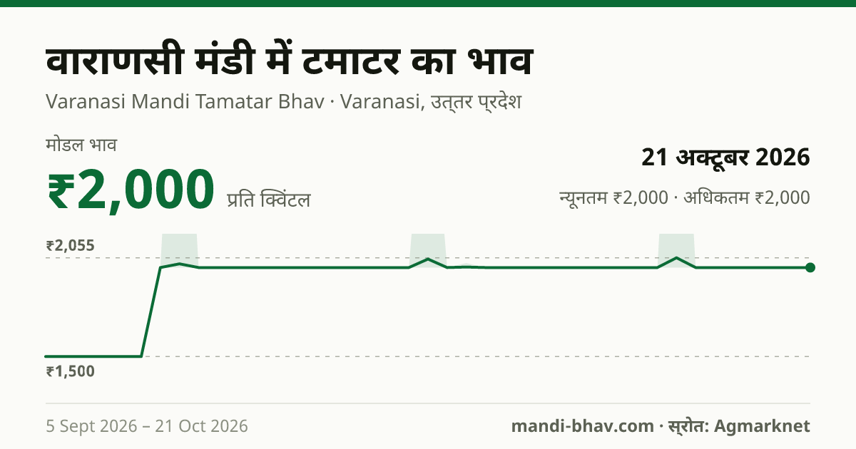 वाराणसी मंडी में टमाटर का भाव 21 अक्टूबर 2026: मोडल ₹2,000 प्रति क्विंटल, भाव के रुझान का चार्ट