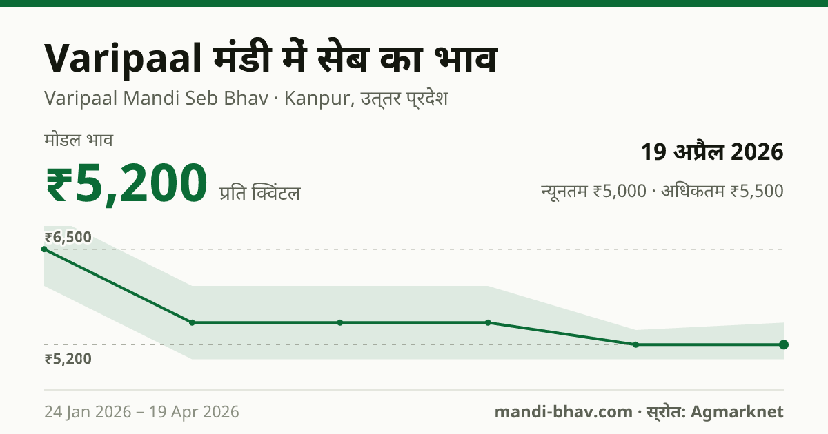 Varipaal मंडी में सेब का भाव 19 अप्रैल 2026: मोडल ₹5,200 प्रति क्विंटल, भाव के रुझान का चार्ट