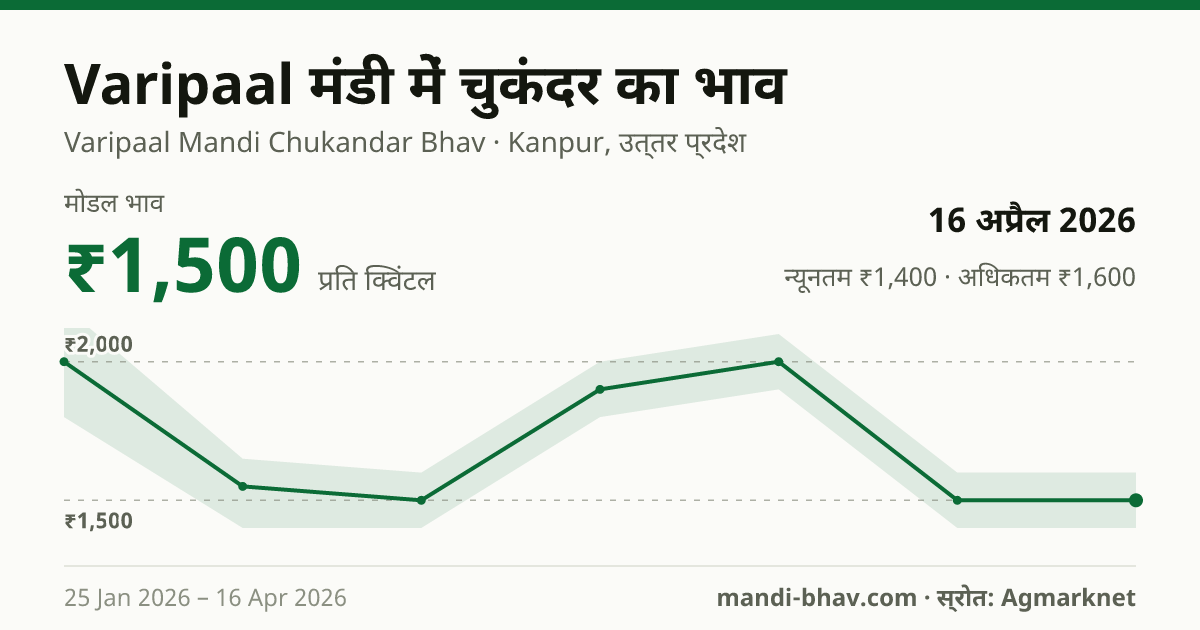 Varipaal मंडी में चुकंदर का भाव 16 अप्रैल 2026: मोडल ₹1,500 प्रति क्विंटल, भाव के रुझान का चार्ट