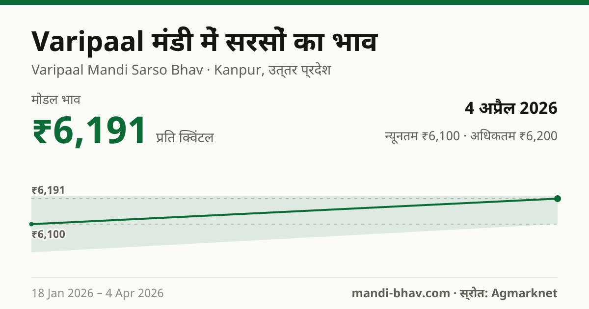 Varipaal मंडी में सरसों का भाव 4 अप्रैल 2026: मोडल ₹6,191 प्रति क्विंटल, भाव के रुझान का चार्ट