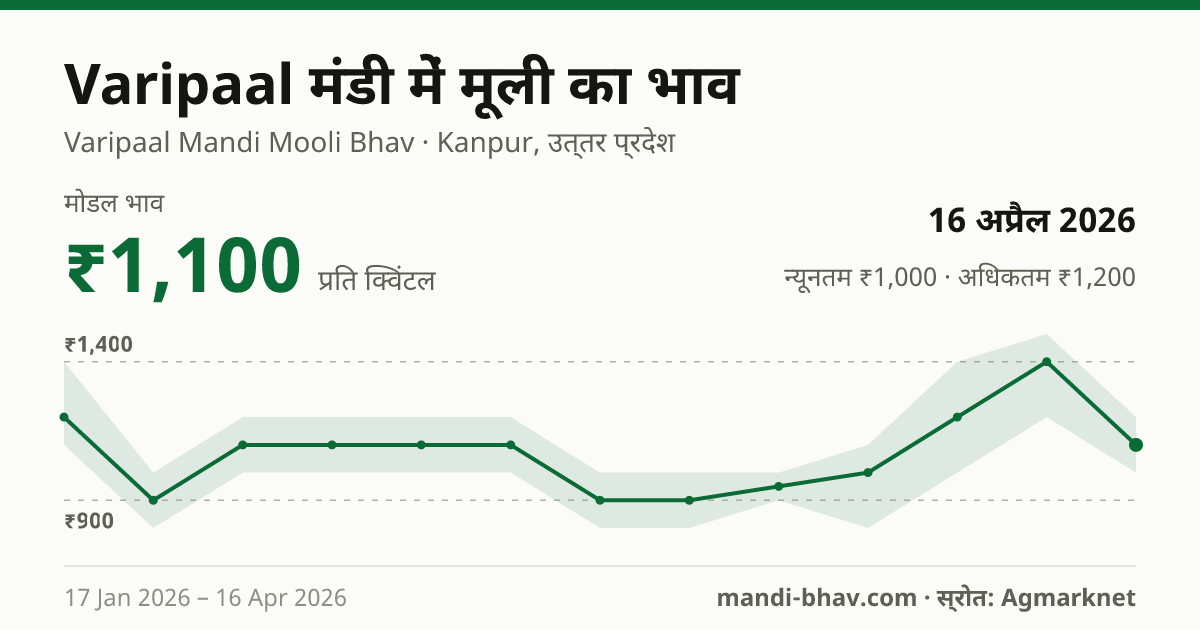 Varipaal मंडी में मूली का भाव 16 अप्रैल 2026: मोडल ₹1,100 प्रति क्विंटल, भाव के रुझान का चार्ट