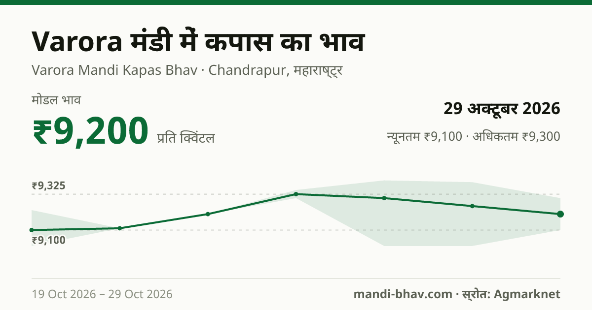 Varora मंडी में कपास का भाव 29 अक्टूबर 2026: मोडल ₹9,200 प्रति क्विंटल, भाव के रुझान का चार्ट