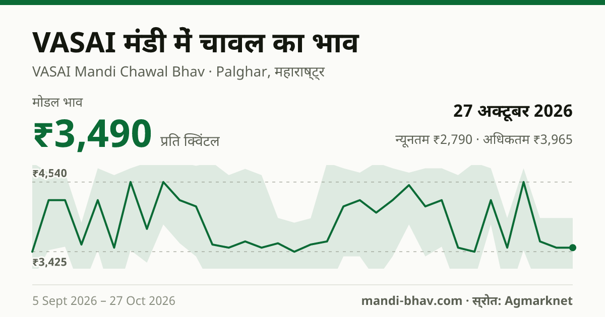 VASAI मंडी में चावल का भाव 27 अक्टूबर 2026: मोडल ₹3,490 प्रति क्विंटल, भाव के रुझान का चार्ट