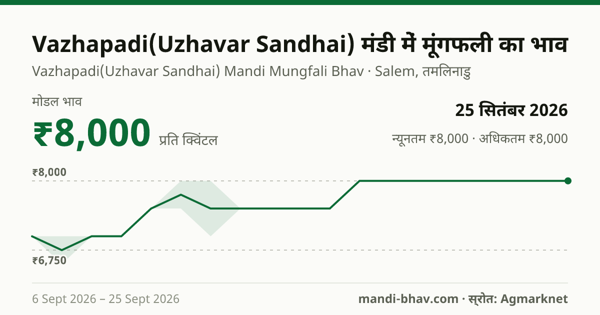 Vazhapadi(Uzhavar Sandhai) मंडी में मूंगफली का भाव 25 सितंबर 2026: मोडल ₹8,000 प्रति क्विंटल, भाव के रुझान का चार्ट
