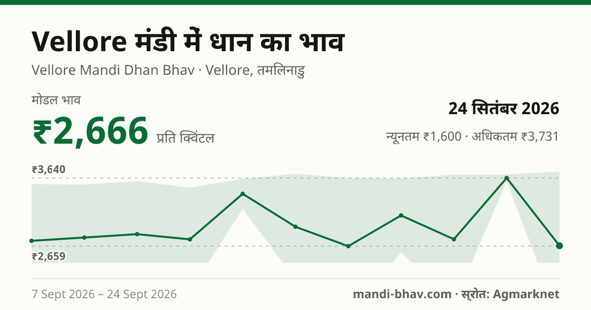 Vellore मंडी में धान का भाव 24 सितंबर 2026: मोडल ₹2,666 प्रति क्विंटल, भाव के रुझान का चार्ट