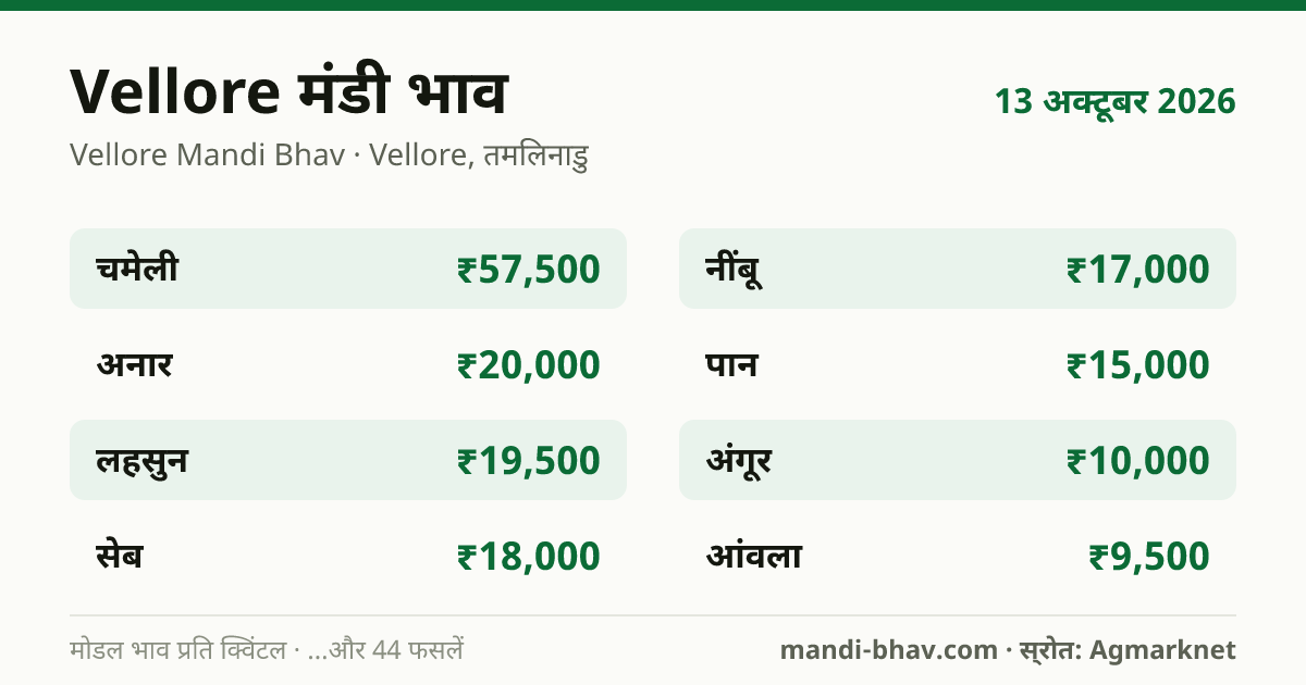 Vellore मंडी भाव 13 अक्टूबर 2026: फसलवार मोडल रेट प्रति क्विंटल