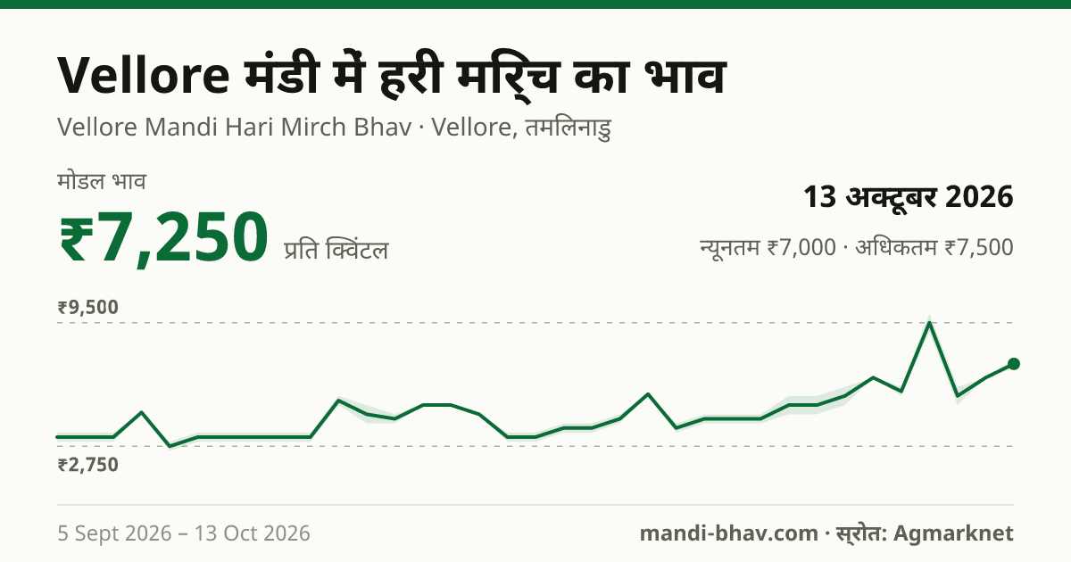 Vellore मंडी में हरी मिर्च का भाव 13 अक्टूबर 2026: मोडल ₹7,250 प्रति क्विंटल, भाव के रुझान का चार्ट