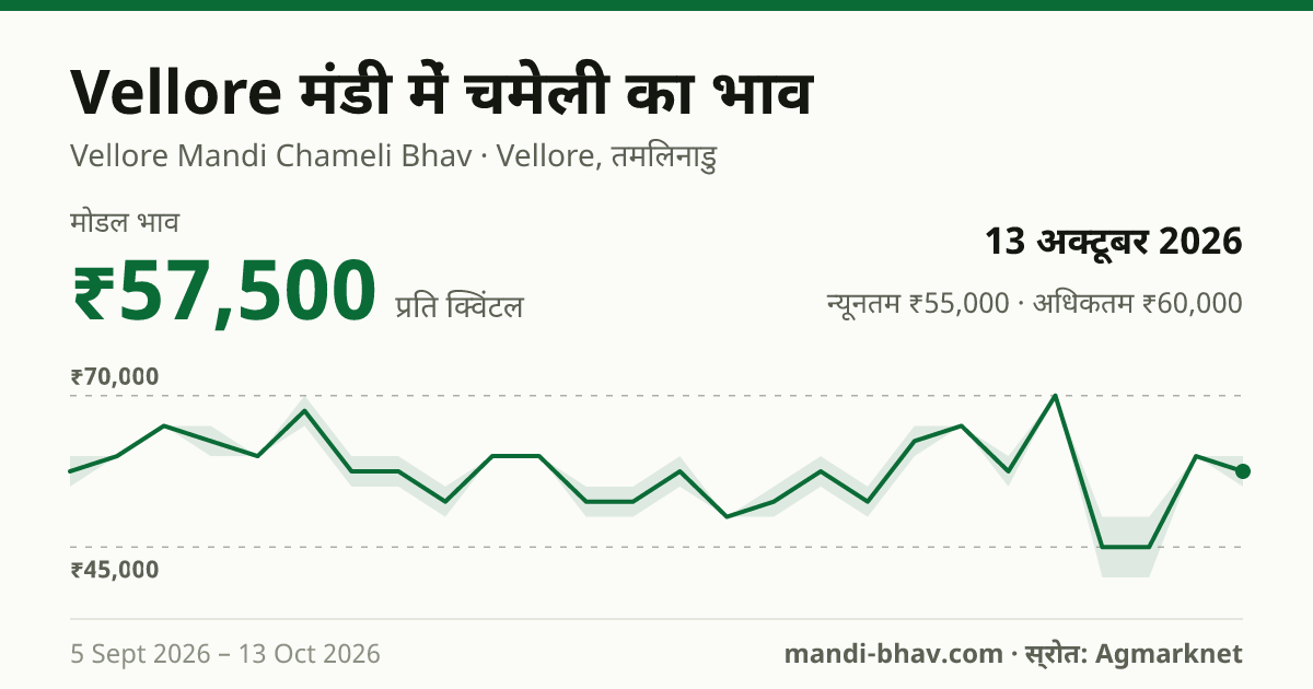 Vellore मंडी में चमेली का भाव 13 अक्टूबर 2026: मोडल ₹57,500 प्रति क्विंटल, भाव के रुझान का चार्ट