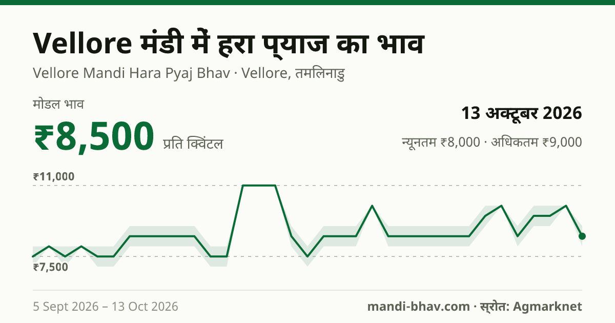 Vellore मंडी में हरा प्याज का भाव 13 अक्टूबर 2026: मोडल ₹8,500 प्रति क्विंटल, भाव के रुझान का चार्ट