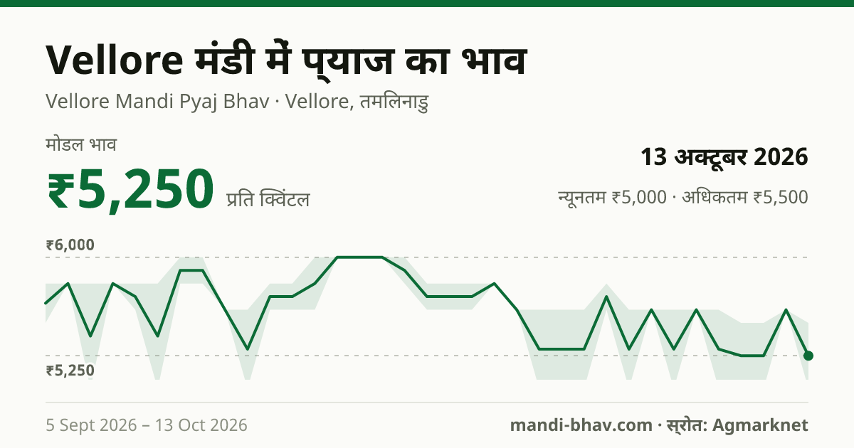 Vellore मंडी में प्याज का भाव 13 अक्टूबर 2026: मोडल ₹5,250 प्रति क्विंटल, भाव के रुझान का चार्ट