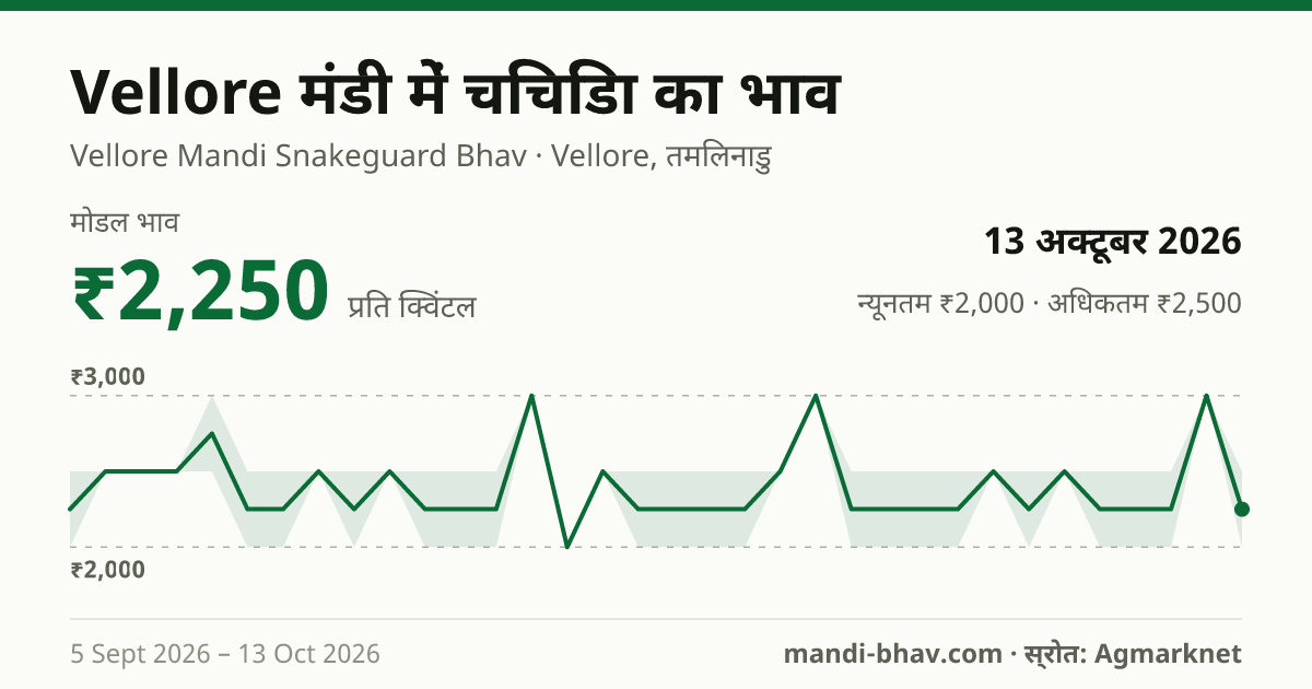 Vellore मंडी में चिचिंडा का भाव 13 अक्टूबर 2026: मोडल ₹2,250 प्रति क्विंटल, भाव के रुझान का चार्ट
