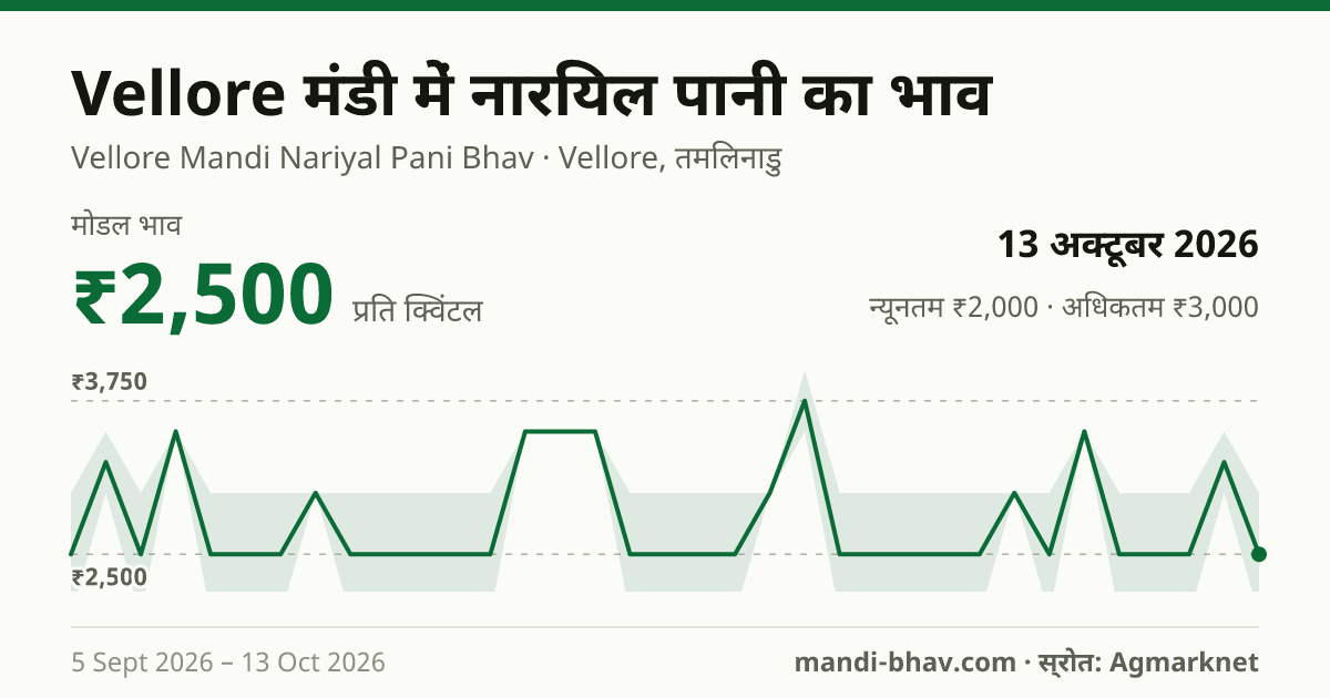 Vellore मंडी में नारियल पानी का भाव 13 अक्टूबर 2026: मोडल ₹2,500 प्रति क्विंटल, भाव के रुझान का चार्ट