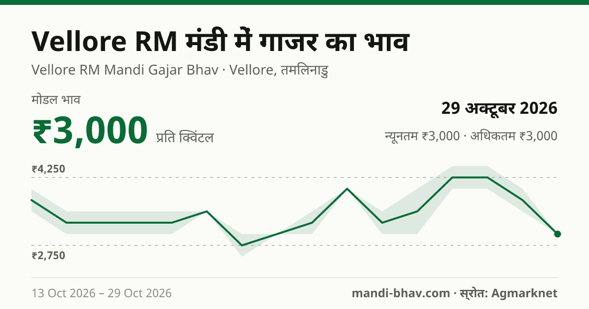Vellore RM मंडी में गाजर का भाव 29 अक्टूबर 2026: मोडल ₹3,000 प्रति क्विंटल, भाव के रुझान का चार्ट