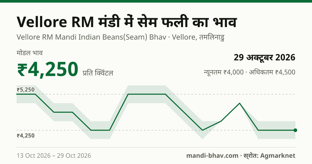 Vellore RM मंडी में सेम फली का भाव 29 अक्टूबर 2026: मोडल ₹4,250 प्रति क्विंटल, भाव के रुझान का चार्ट