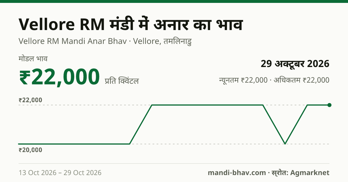 Vellore RM मंडी में अनार का भाव 29 अक्टूबर 2026: मोडल ₹22,000 प्रति क्विंटल, भाव के रुझान का चार्ट