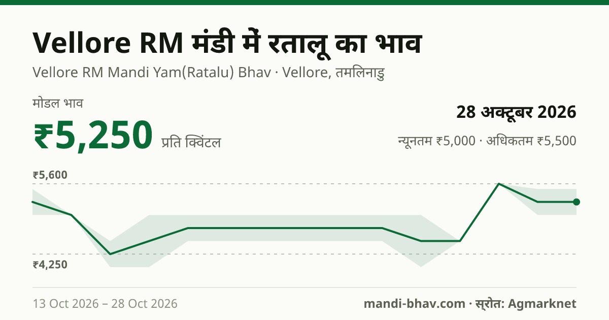 Vellore RM मंडी में रतालू का भाव 28 अक्टूबर 2026: मोडल ₹5,250 प्रति क्विंटल, भाव के रुझान का चार्ट