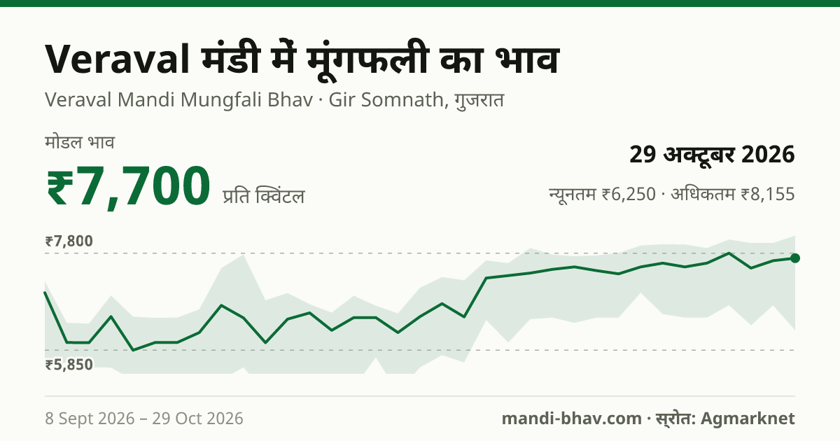 Veraval मंडी में मूंगफली का भाव 29 अक्टूबर 2026: मोडल ₹7,700 प्रति क्विंटल, भाव के रुझान का चार्ट