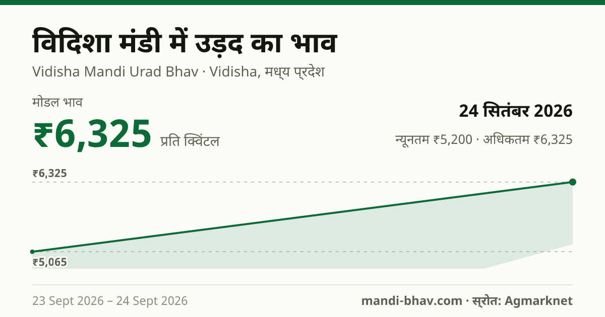 विदिशा मंडी में उड़द का भाव 24 सितंबर 2026: मोडल ₹6,325 प्रति क्विंटल, भाव के रुझान का चार्ट