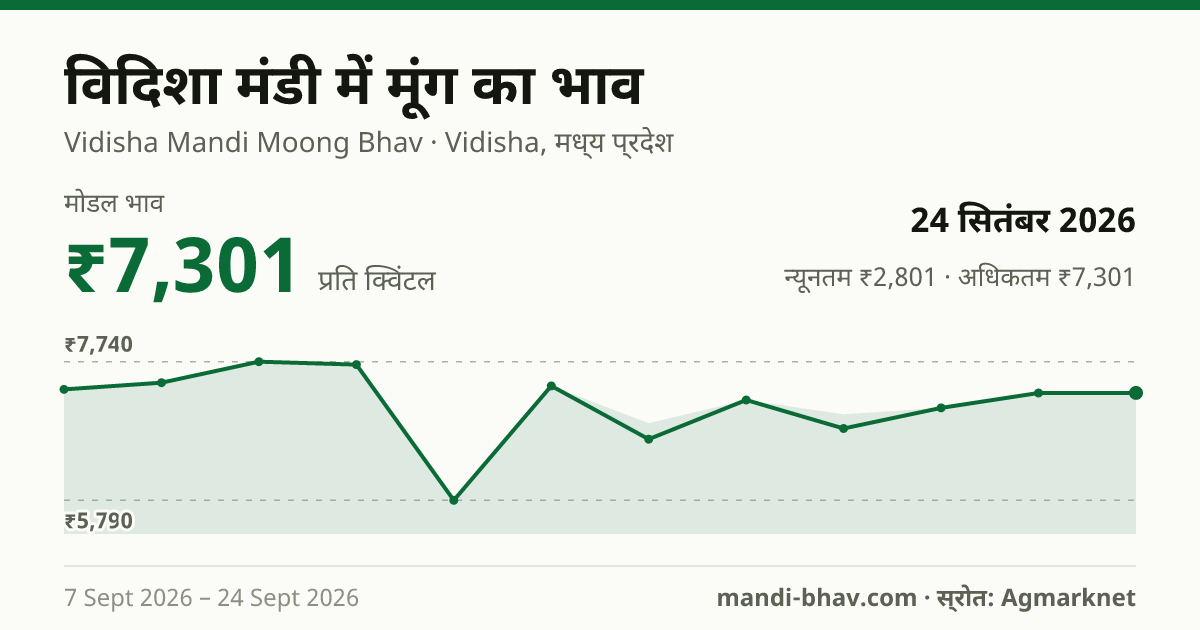 विदिशा मंडी में मूंग का भाव 24 सितंबर 2026: मोडल ₹7,301 प्रति क्विंटल, भाव के रुझान का चार्ट