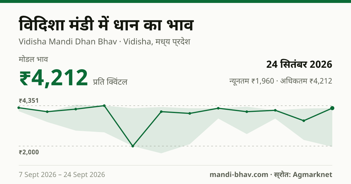 विदिशा मंडी में धान का भाव 24 सितंबर 2026: मोडल ₹4,212 प्रति क्विंटल, भाव के रुझान का चार्ट
