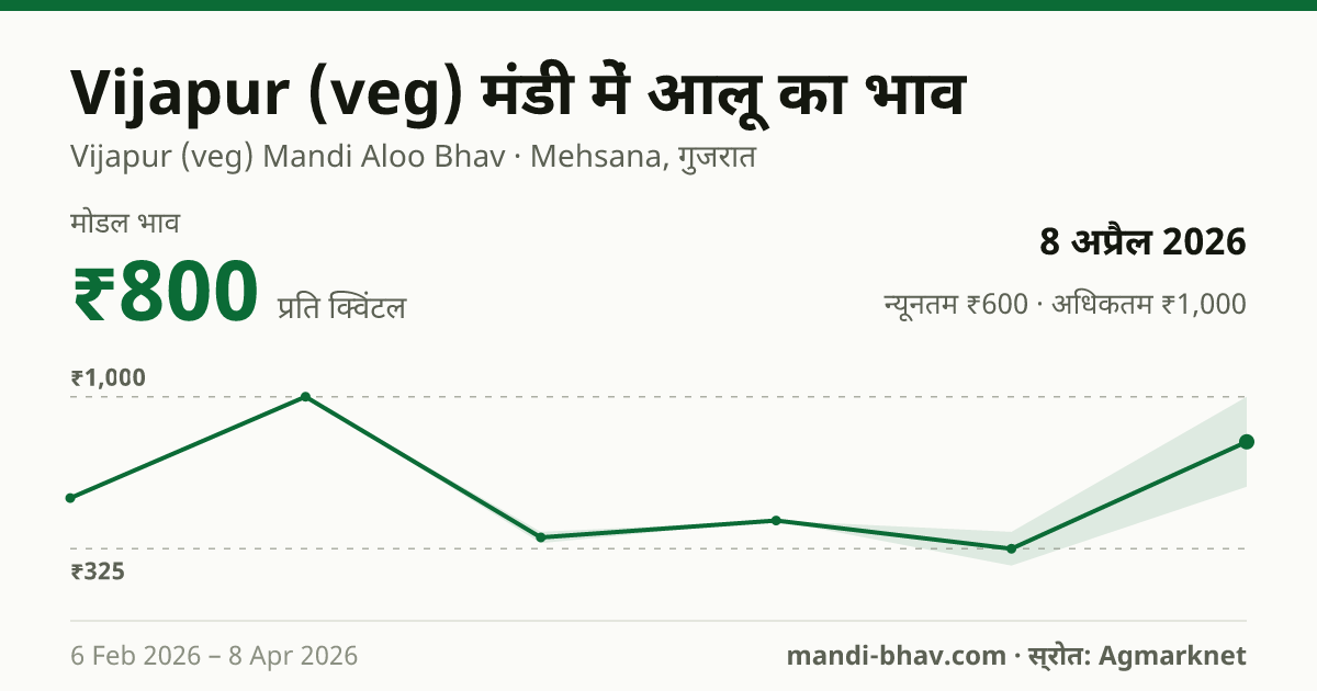 Vijapur (veg) मंडी में आलू का भाव 8 अप्रैल 2026: मोडल ₹800 प्रति क्विंटल, भाव के रुझान का चार्ट