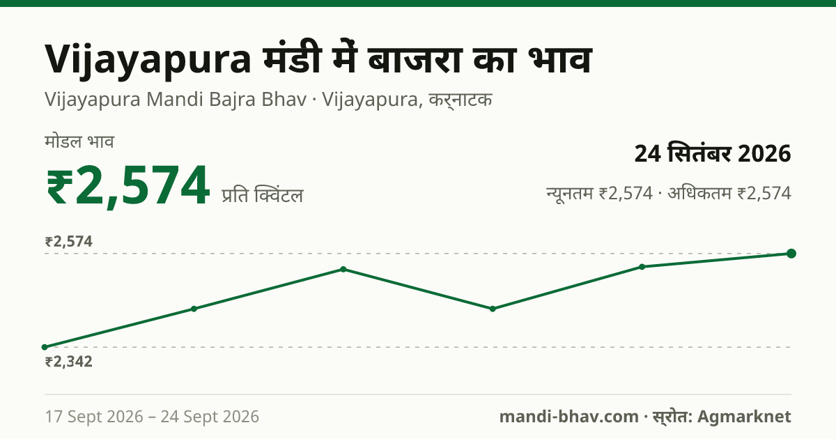 Vijayapura मंडी में बाजरा का भाव 24 सितंबर 2026: मोडल ₹2,574 प्रति क्विंटल, भाव के रुझान का चार्ट