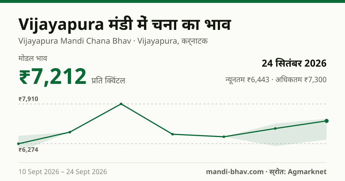 Vijayapura मंडी में चना का भाव 24 सितंबर 2026: मोडल ₹7,212 प्रति क्विंटल, भाव के रुझान का चार्ट