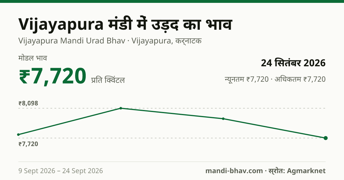 Vijayapura मंडी में उड़द का भाव 24 सितंबर 2026: मोडल ₹7,720 प्रति क्विंटल, भाव के रुझान का चार्ट
