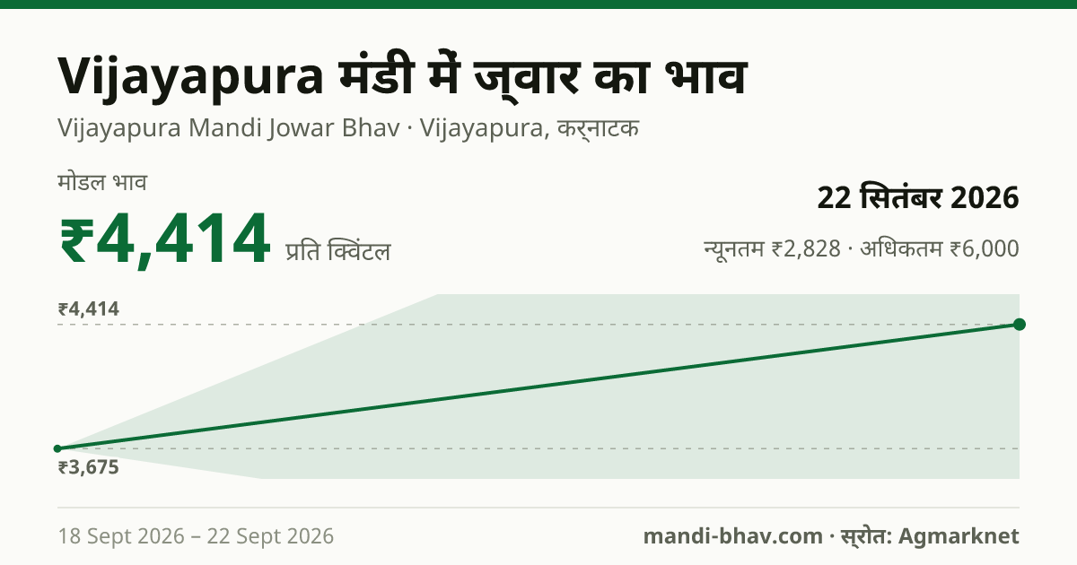 Vijayapura मंडी में ज्वार का भाव 22 सितंबर 2026: मोडल ₹4,414 प्रति क्विंटल, भाव के रुझान का चार्ट