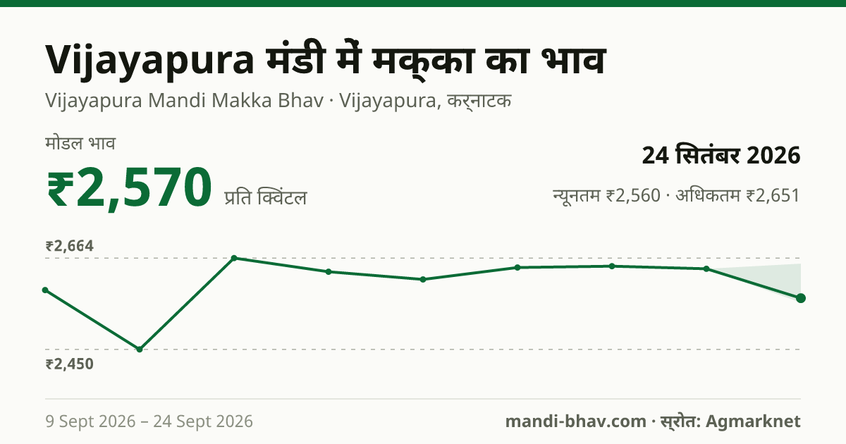 Vijayapura मंडी में मक्का का भाव 24 सितंबर 2026: मोडल ₹2,570 प्रति क्विंटल, भाव के रुझान का चार्ट