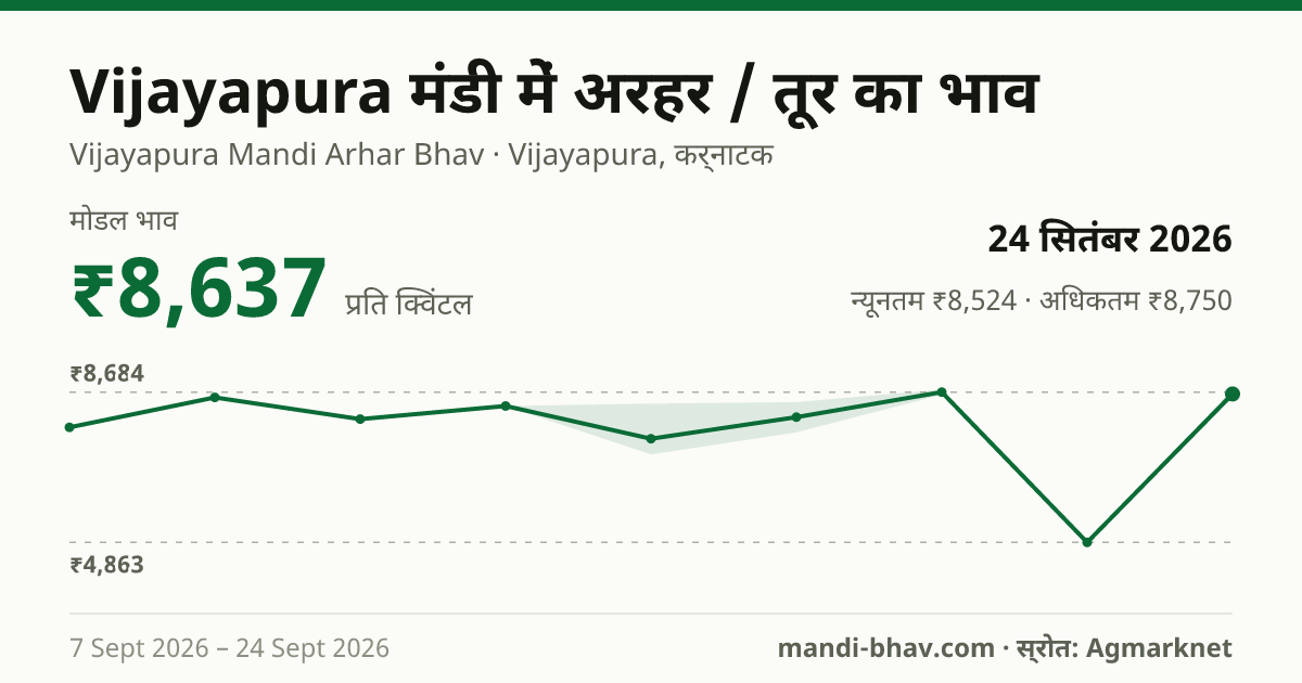 Vijayapura मंडी में अरहर / तूर का भाव 24 सितंबर 2026: मोडल ₹8,637 प्रति क्विंटल, भाव के रुझान का चार्ट