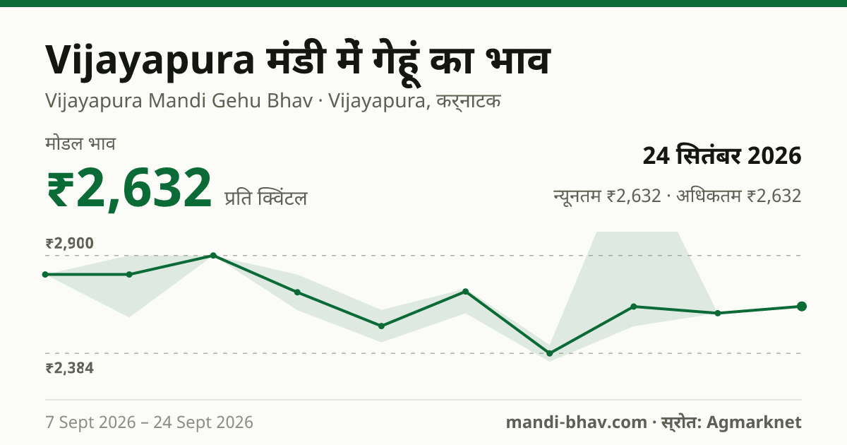 Vijayapura मंडी में गेहूं का भाव 24 सितंबर 2026: मोडल ₹2,632 प्रति क्विंटल, भाव के रुझान का चार्ट