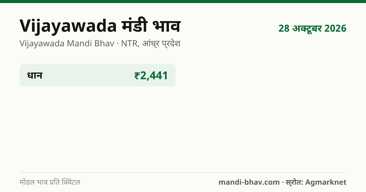 Vijayawada मंडी भाव 28 अक्टूबर 2026: फसलवार मोडल रेट प्रति क्विंटल