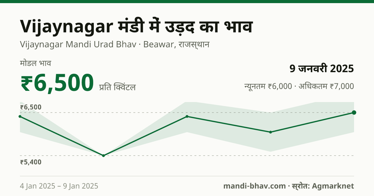 Vijaynagar मंडी में उड़द का भाव 9 जनवरी 2025: मोडल ₹6,500 प्रति क्विंटल, भाव के रुझान का चार्ट