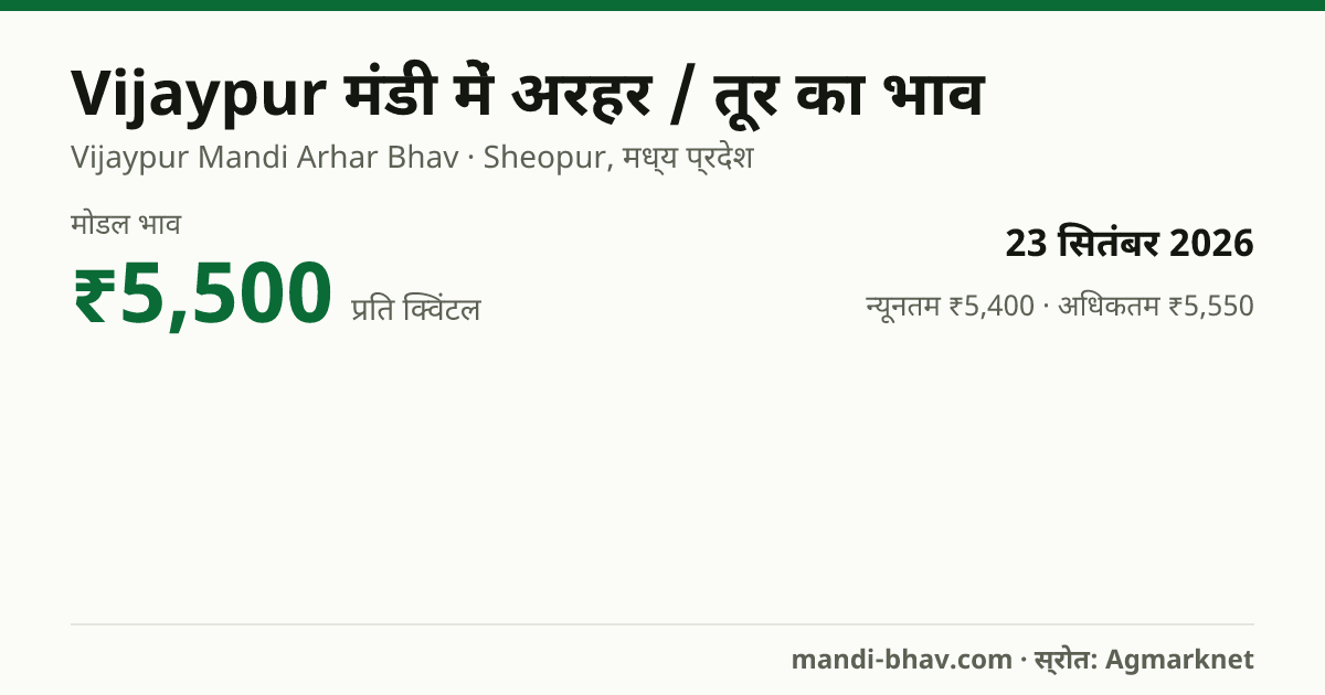 Vijaypur मंडी में अरहर / तूर का भाव 23 सितंबर 2026: मोडल ₹5,500 प्रति क्विंटल, भाव के रुझान का चार्ट