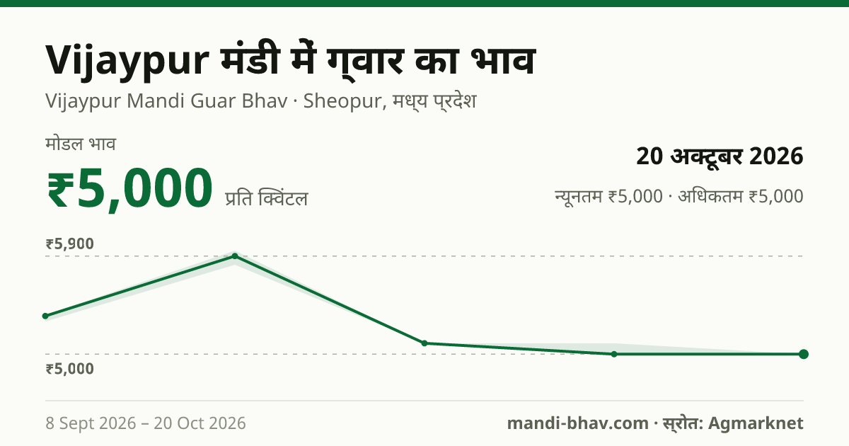 Vijaypur मंडी में ग्वार का भाव 20 अक्टूबर 2026: मोडल ₹5,000 प्रति क्विंटल, भाव के रुझान का चार्ट