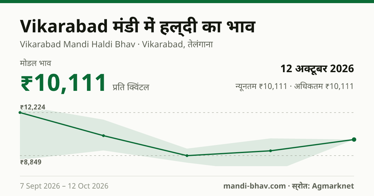 Vikarabad मंडी में हल्दी का भाव 12 अक्टूबर 2026: मोडल ₹10,111 प्रति क्विंटल, भाव के रुझान का चार्ट